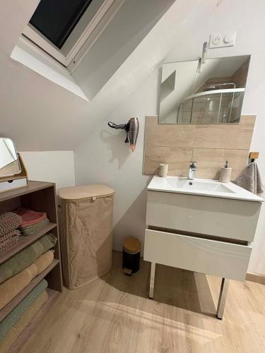 a bathroom with a sink and a mirror at Appartement douillet in Haspres