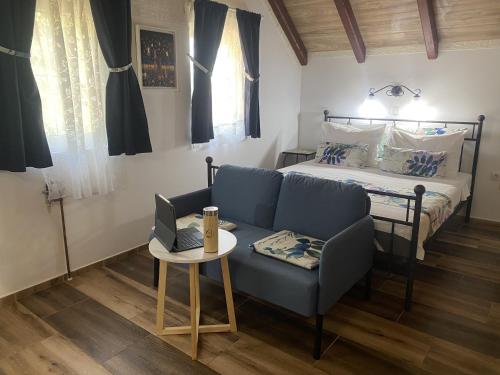 a living room with a couch and a bed at Vila Davidovic-Fruska gora in Manđelos