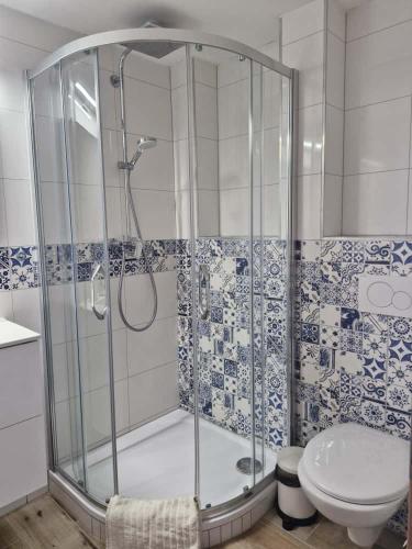 a bathroom with a shower and a toilet at Sklípek u Štýblů in Velké Němčice