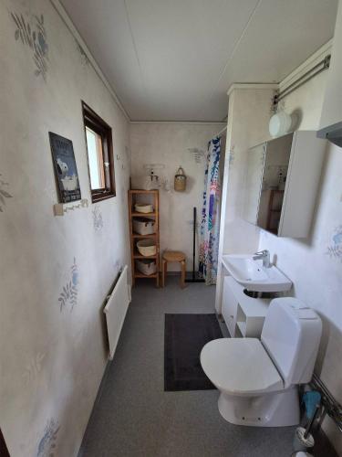 a bathroom with a toilet and a sink at Ferienhaus Stensjö in Holmsjö