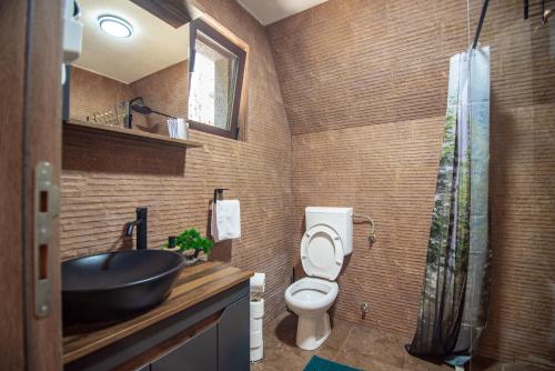 a bathroom with a sink and a toilet at Green Hideaway SPA in Žabljak