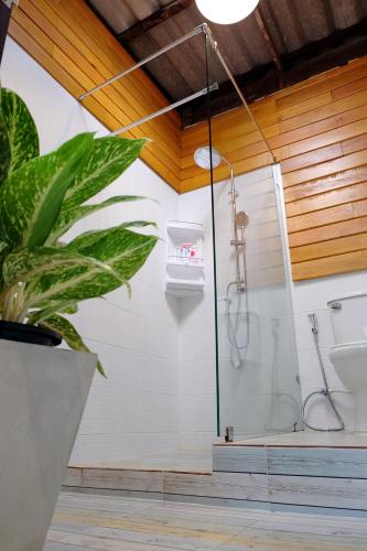 a shower stall in a bathroom with a plant at Sor Vorapin Muay Thai Home in Bangkok