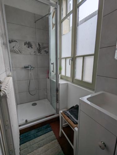 a bathroom with a shower and a sink at Le Tintamarre - Chambres et suite familiale à 5 min du Zoo de Beauval in Saint-Aignan