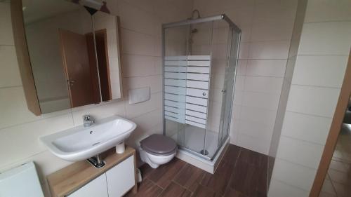 a bathroom with a sink and a shower and a toilet at Ferienwohnung Seeblick in Wustrow