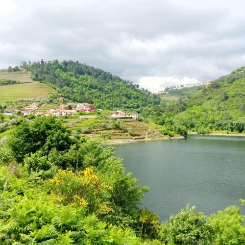 a view of a river with trees and houses at O cantinho da Laura in Lamego