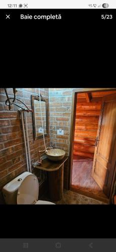 a bathroom with a toilet and a sink at Căbănuțe lemn cu ciubăr in Varvata