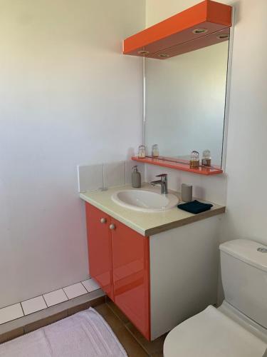 a bathroom with a sink and a mirror at Chic, bright and quiet in Baie-Mahault