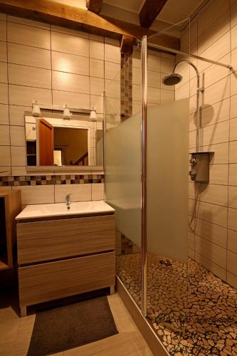 a bathroom with a sink and a shower with a mirror at Gîte des remparts in Bèze