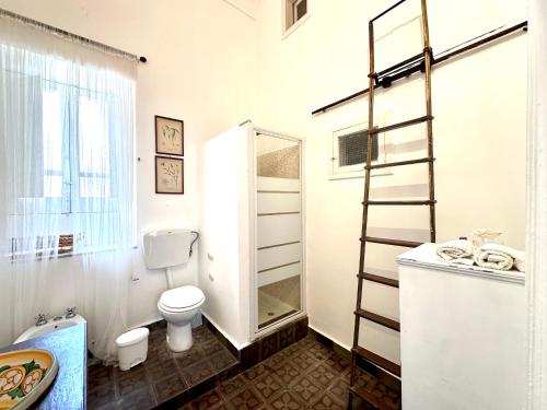a bathroom with a toilet and a ladder in it at Milonghita Apartment Ortigia by Ortigiaapartments in Syracuse