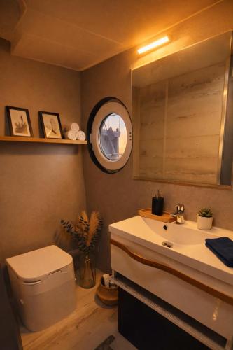 a bathroom with a toilet and a sink and a mirror at ÖKO Budget Hausboot Retreat Mondschein in Stralsund