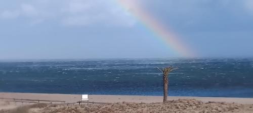 Magnifique T2 vue imprenable sur mer acces direct plage