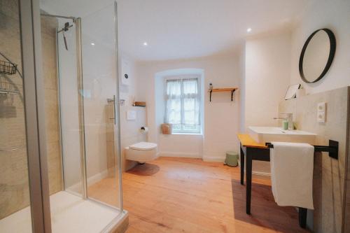a bathroom with a shower and a toilet and a sink at Residenz Moselliebe in Traben-Trarbach