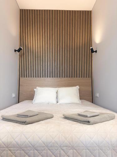 Central Svitrigaila Apartments