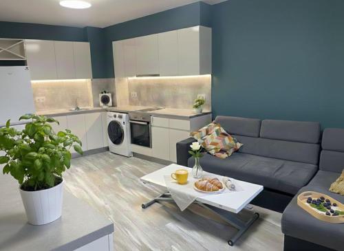 Cozy Central Apartment-Welcome Coffee and Wine