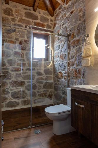 a stone bathroom with a shower and a toilet at Elevi Mare Apartment in Tyros