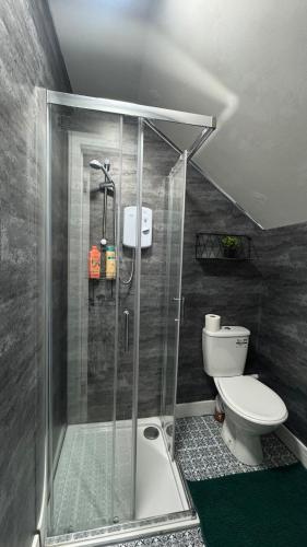 a bathroom with a shower and a toilet at Stylish Studio Flat JQ close to Villa Park & Utility Arena in Birmingham