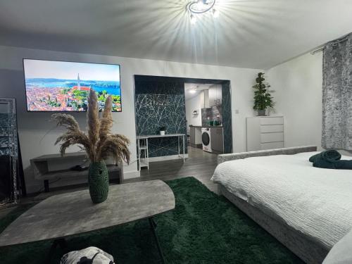 a bedroom with a bed and a tv on the wall at Stylish Studio Flat JQ close to Villa Park & Utility Arena in Birmingham