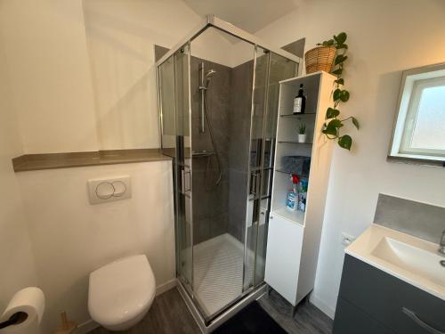 a bathroom with a shower and a toilet and a sink at Duplex 2 chambres Meximieux centre ville in Meximieux