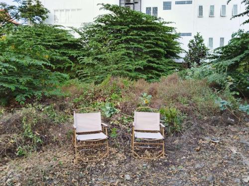 En have udenfor monkey king