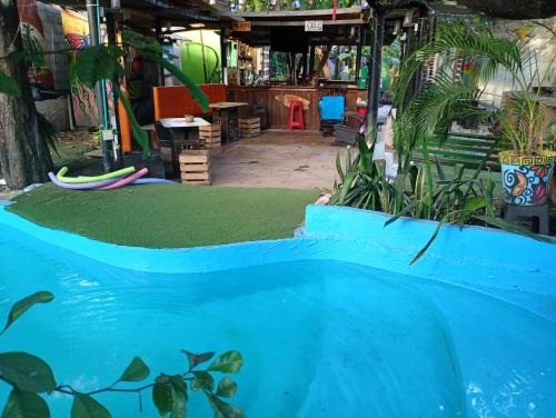 a shop with a pool of water with a surfboard at Nahimara Champeta Hostel in Cartagena de Indias