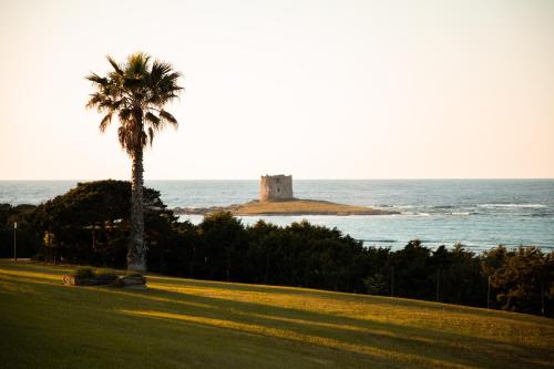 a palm tree and a castle on an island in the ocean at Rocca Ruja Vip in Stintino