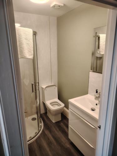 a white bathroom with a toilet and a sink at Park Guest House in Inverness