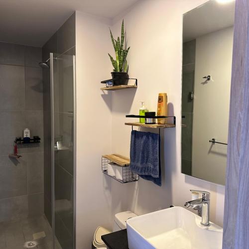 a bathroom with a toilet and a sink and a shower at Moderno Loft Primer Cuadro Centro Historico Guadalajara in Guadalajara
