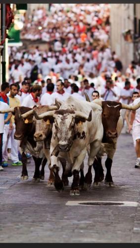 Private Room San Fermín-Short Walking Distance To The Center