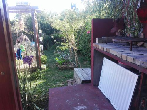 a view of a garden with a white door at Habitación en Casa Museo in Villa Garibaldi
