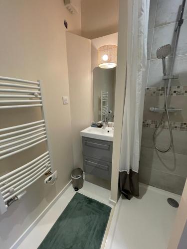 a bathroom with a shower and a sink at Chez Sophie in Orléans
