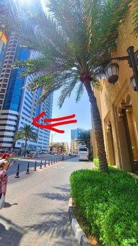 a palm tree in the middle of a street at Royal rooms Ajman in Ajman
