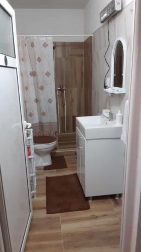 a bathroom with a white sink and a toilet at Villa Elena in Čiflik