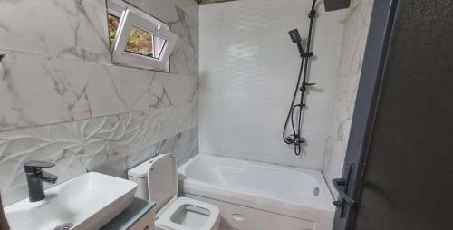 a bathroom with a sink and a toilet and a shower at Mountain Hearth in Zeda Ch'khutunet'i