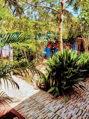 a garden with palm trees and a wooden walkway at Pousada Nosso cantinho in Belém