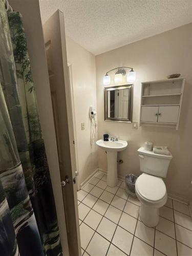 a bathroom with a toilet and a sink at Rivers Edge 803c in Helen