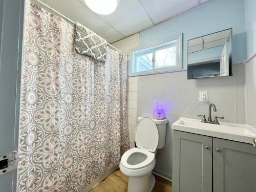a bathroom with a toilet and a sink at Private Room-Shared Common Spaces-Queen Bed in Johnson City