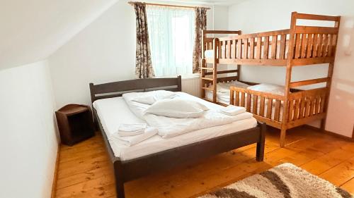 a bedroom with a bunk bed and a ladder at Cabana Eduard in Rişca
