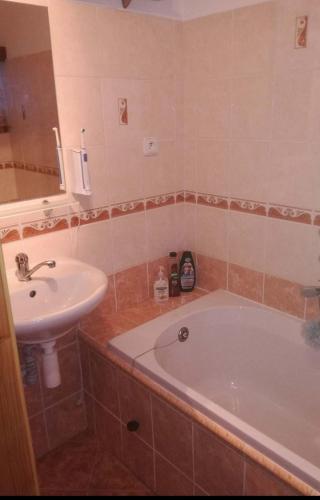 a bathroom with a bath tub and a sink at Chata v Poustce in Benecko