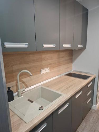 a kitchen with a sink and a counter top at Апартаменти Вілла Гор in Bukovel