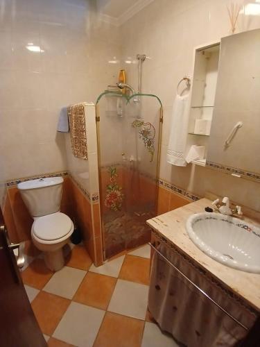 a bathroom with a shower and a toilet and a sink at Mallona in Pedro Rodríguez