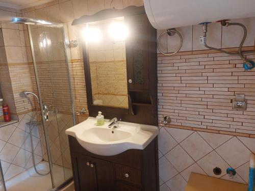 a bathroom with a sink and a shower at Andromahi Stone House in Stemnitsa
