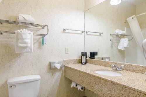 a bathroom with a sink and a toilet and a mirror at Quality Inn Junction City near Fort Riley in Junction City