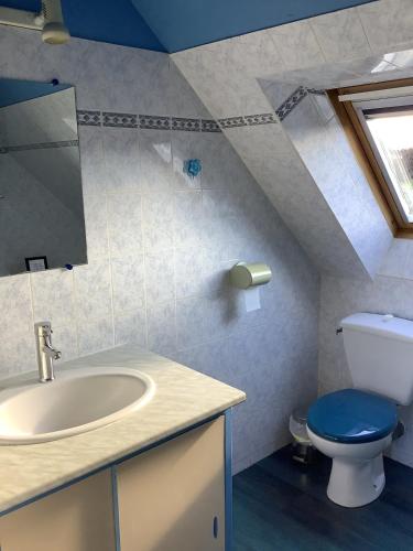 un bagno con lavandino e WC di Gîte ty glas a Lézardrieux