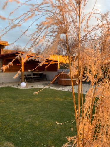 DoMi panorama&wellness