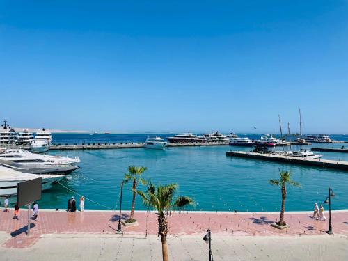 New Marina Apartments