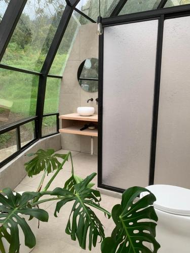 a bathroom with a large window and a sink at Mineral Glamping Experience in Mineral del Chico