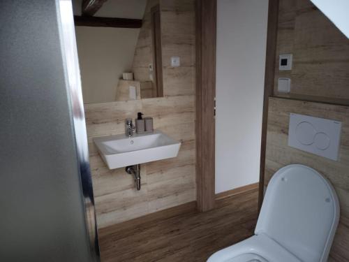 a bathroom with a sink and a toilet at Penzion U Koruny in Ústí nad Labem