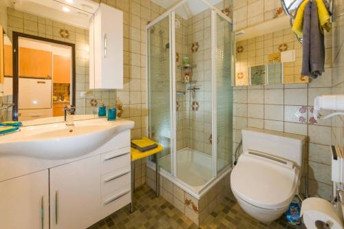 a bathroom with a toilet and a shower and a sink at Studio Türkis in Grächen