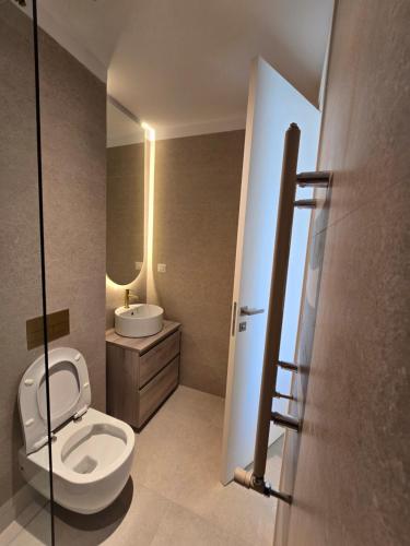 a bathroom with a toilet and a sink at Apart HOTEL VOGH OLIMP - S605 in Văleni