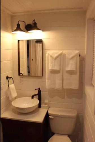 a bathroom with a sink and a toilet and a mirror at NEW! Cozy Container Home at Cliffside #1 in Orderville
